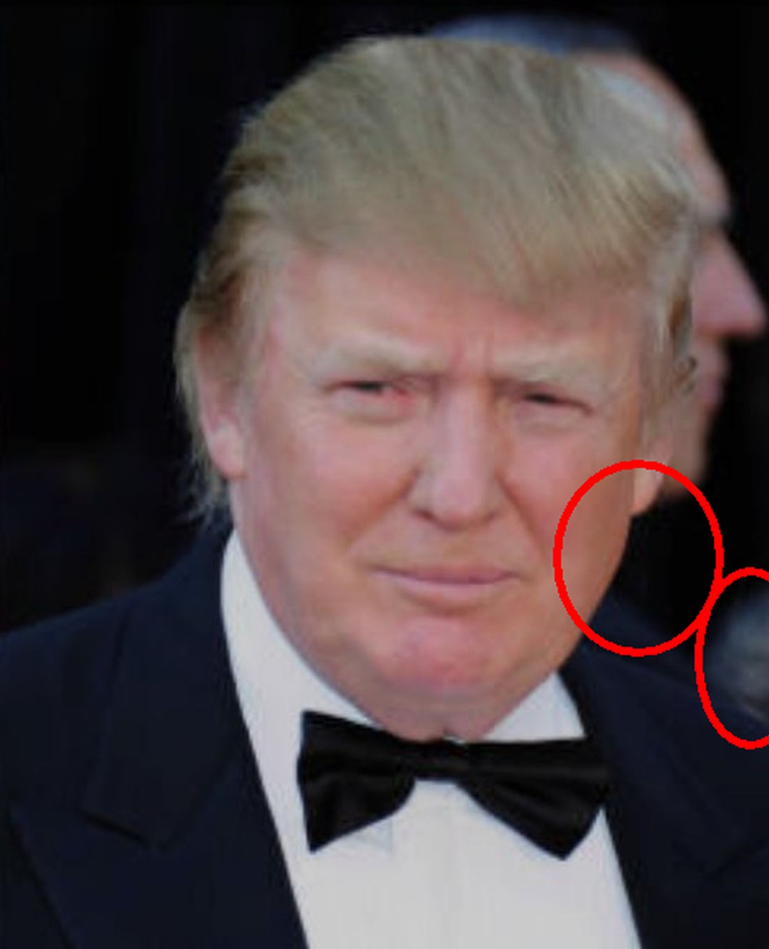 Die Zeitenwende, das Trump-Double enttarnt: Doppelgänger-Trump.