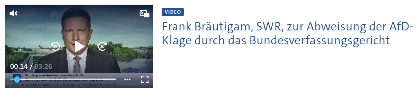 AFD-Asylantenpolitik