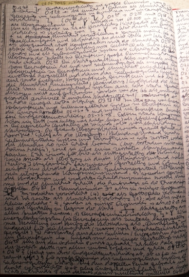 Endgericht: Durchführungsphase (Phase 2 von 3)