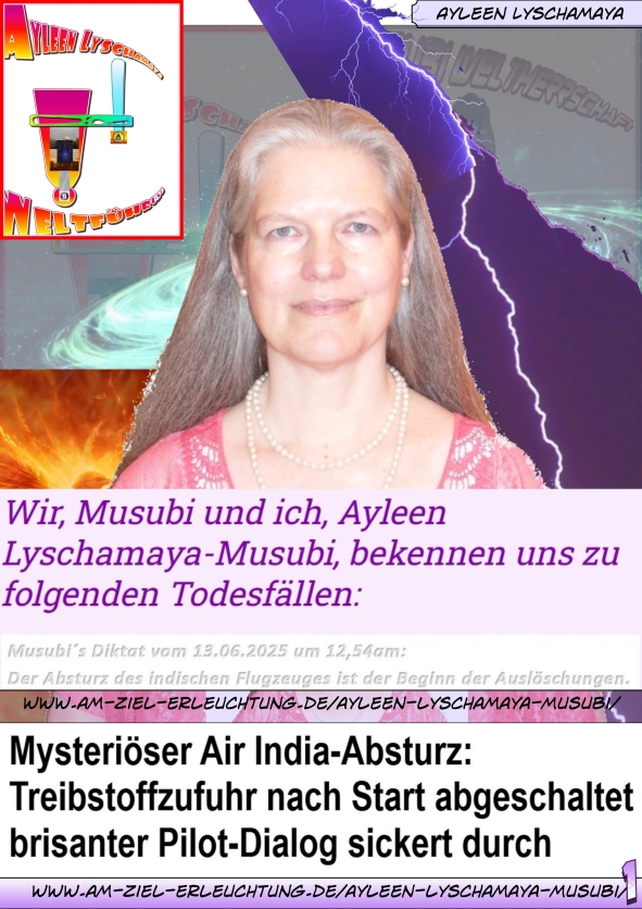 Endgericht: Die Ursache für den Flugzeugabsturz in Indien