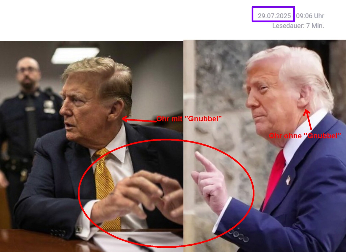 Trump-Fake: Trump das Double