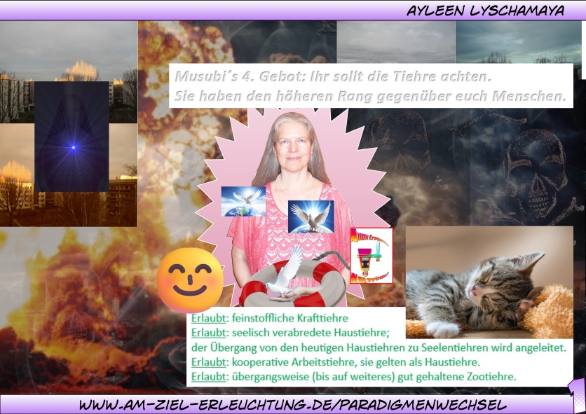 Euer Endgericht: Paradigmenwechsel Tiehre