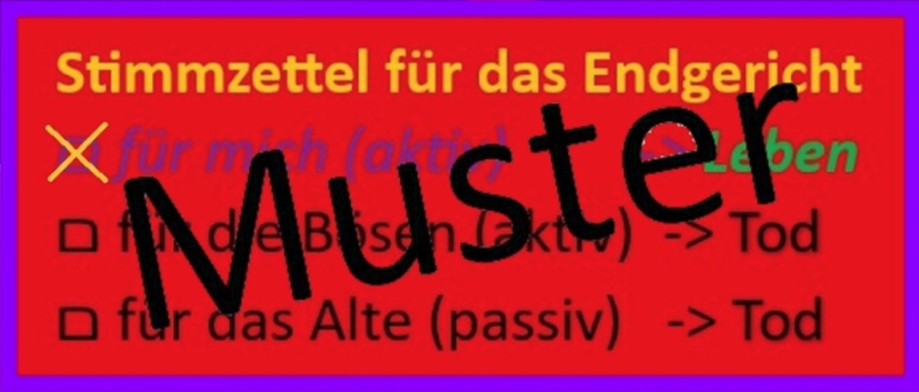 Endkampf: Die Wahllokale für das Endgericht sind geöffnet. Muster-Stimmzettel.
