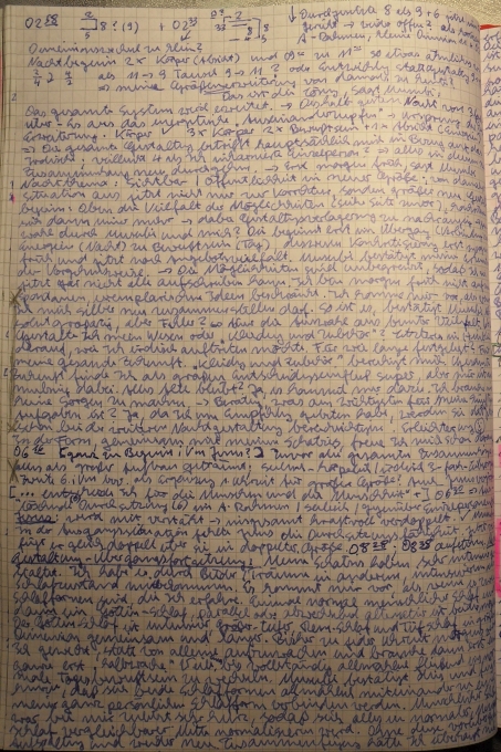 Weihnachtszeit, Weihnachten 2025: Fest der Brennenden Bäume