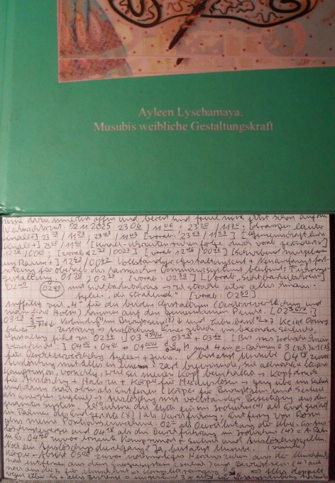 Endreinigung Apokalypse: Ich trete in die Öffentlichkeit