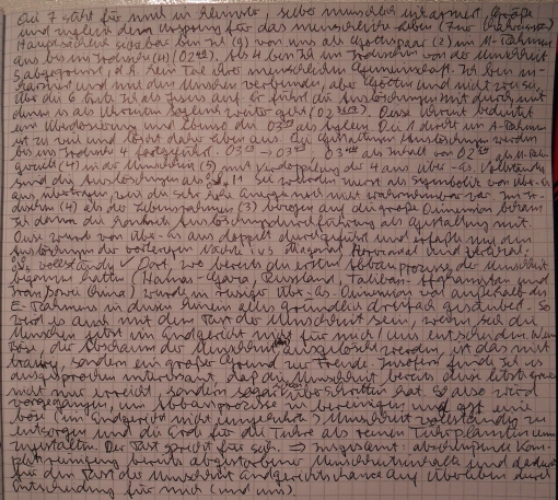 Endreinigung Apokalypse: Ich trete in die Öffentlichkeit