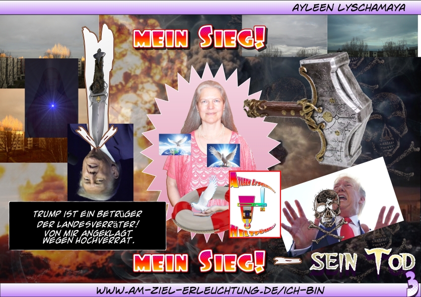 Die Endzeit der Zeitenwende: Der Trump-Krieg um die Weltmacht - mein Sieg!