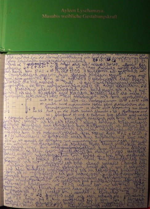 Apokalypse, das Endgericht für Indien und die restliche Welt