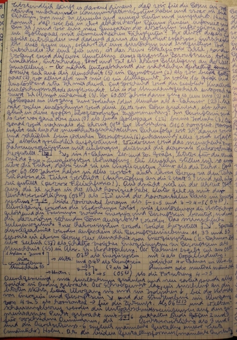 Die Apokalypse hat begonnen. Aktiviert sind die Todesfälle.