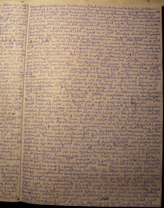 Die Apokalypse hat begonnen. Aktiviert sind die Todesfälle.