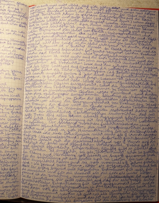 Endzeit: Ayleen Lyschamaya in Endgerichtssichtbarkeit (Inkarnantions-Neugeburt)