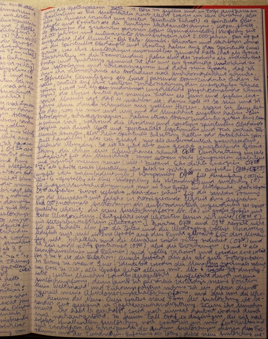 Im Endkampf setze Ich mich durch, eure Gottespaar-Göttin Ayleen.