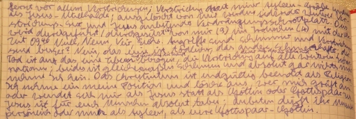 Im Endkampf setze Ich mich durch, eure Gottespaar-Göttin Ayleen.