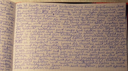 Apokalypse: Auslöschung von Hassredners.