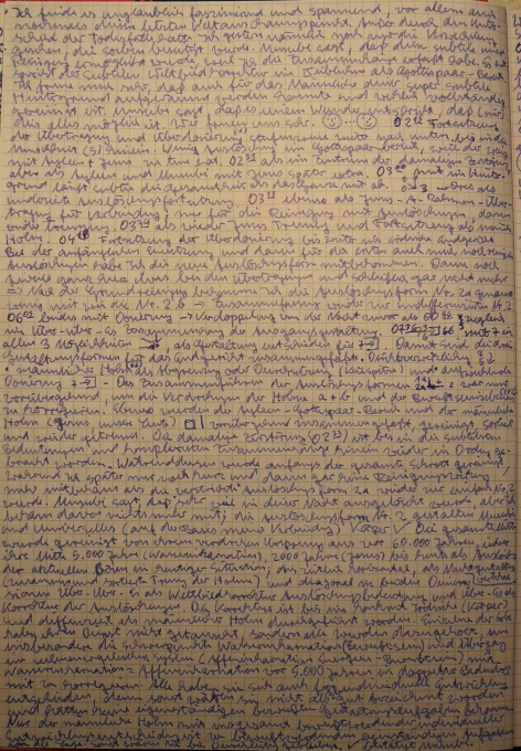 Armageddon: Auslöschungen, der Gut gegen Böse Endkampf