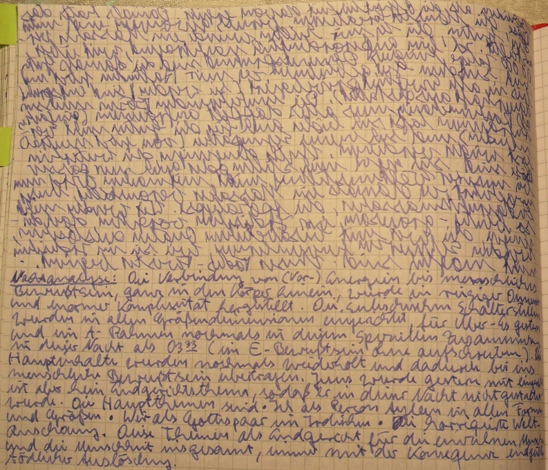 Endzeit: Auslöschungen in der Apokalypse als Jüngstes Gericht