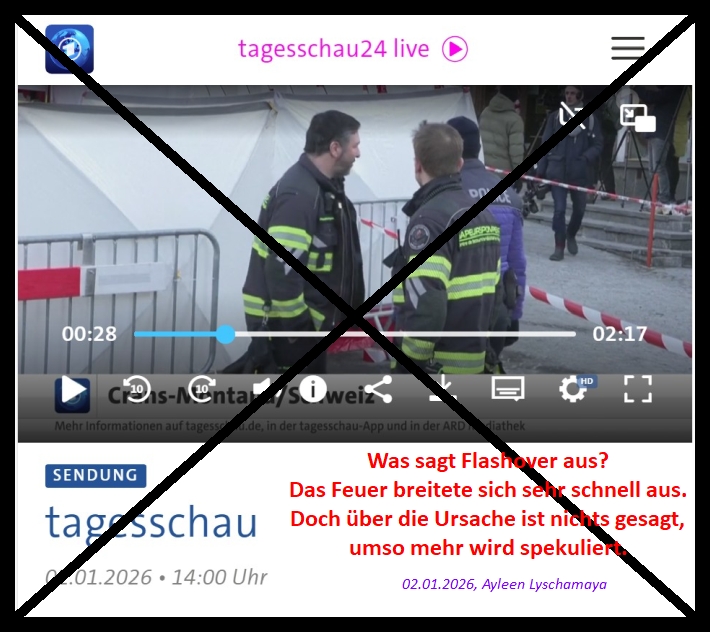 Was sagt Flashover aus? Das Feuer breitete sich sehr schnell aus. Doch über die Ursache ist nichts gesagt, umso mehr wird spekuliert.